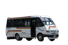 paraiso-removebg-preview (1)